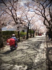 568FCEE1-2F22-4390-BF8E-6668741A8FB2