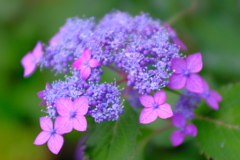 94B39A51-45EA-4BEB-AE25-35794EEDE053