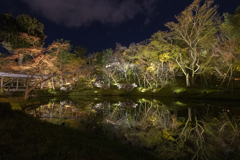 静寂の夜