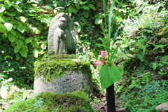 東慶寺　夏