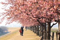 江戸川河川敷