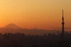 市川タワーズ