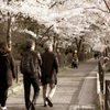 kyuyu