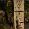 philosophy_road