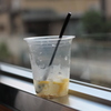 remonsawa-
