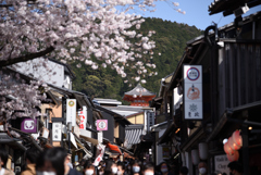 春の清水寺