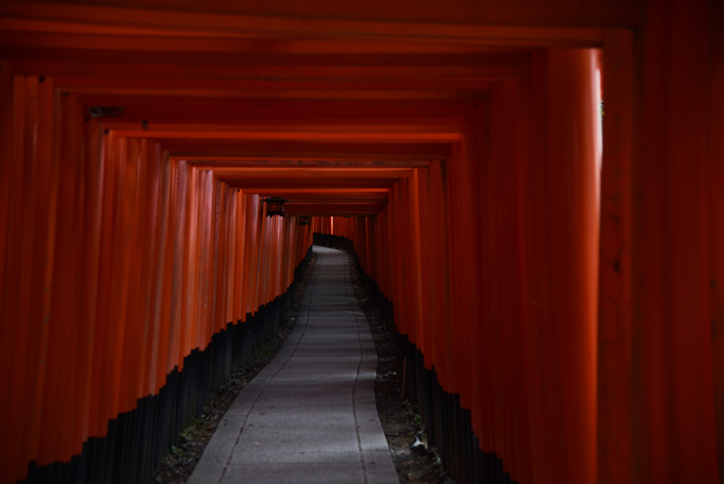 千本鳥居