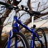愛車