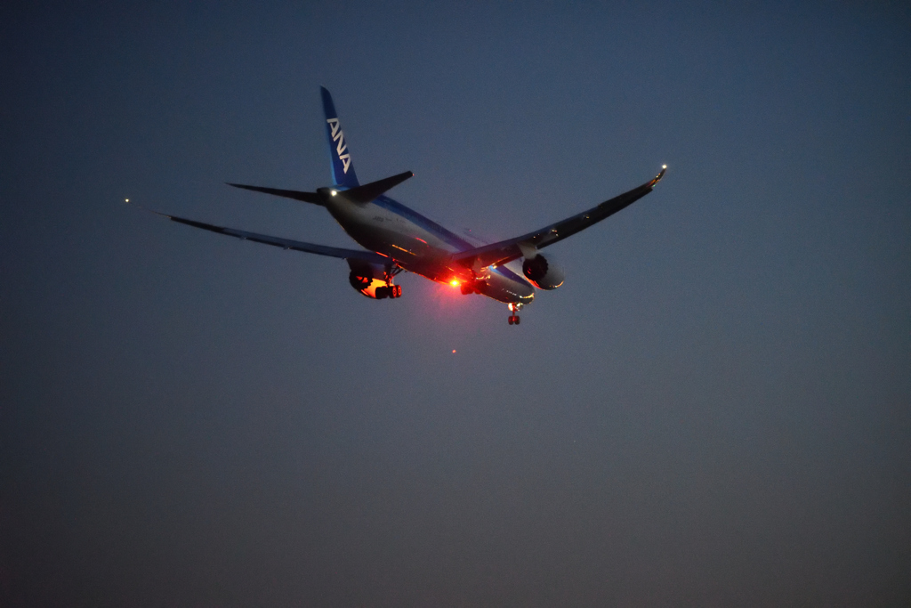 城南島海浜公園 ANA B-787