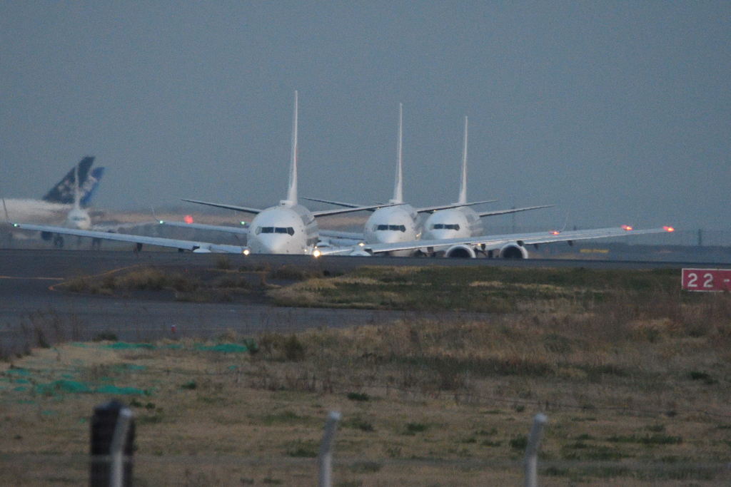 JAL 737 3連単 京浜島