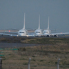 JAL 737 3連単 京浜島