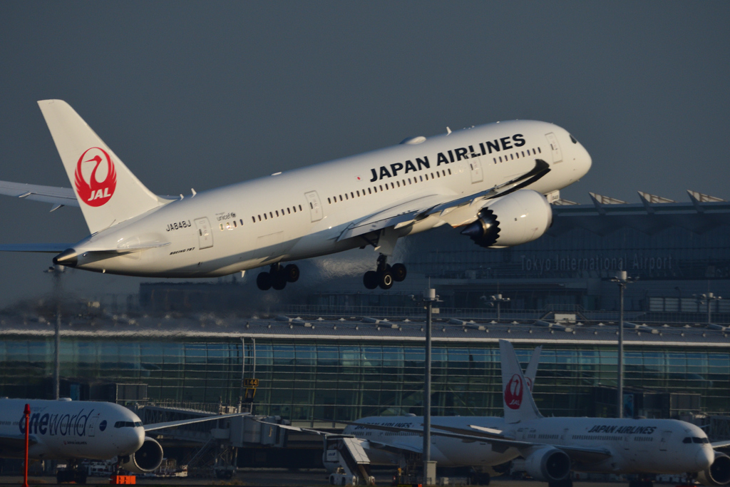 羽田B滑走路上がり JAL B-787