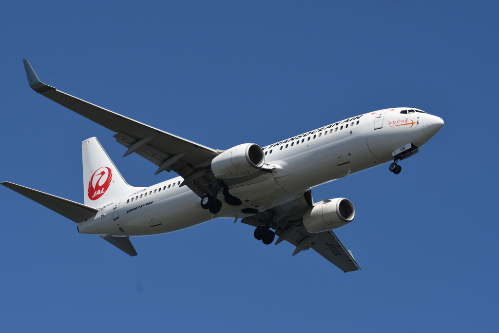 羽田B滑走路着陸(22) JAL B-737