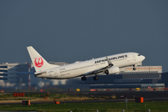 羽田の緑芝生とJAL B-737