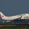 羽田の緑芝生とJAL B-737