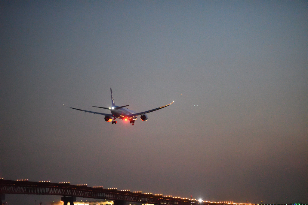 城南島海浜公園 ANA B-787  B滑走路着陸