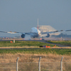 羽田空港 A滑走路(16R)着陸 JAL B-777