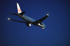 城南島海浜公園 JAL B-767