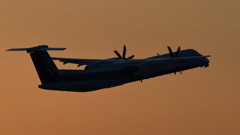 夕暮れの伊丹空港展望台 DHC8-Q400