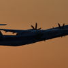 夕暮れの伊丹空港展望台 DHC8-Q400