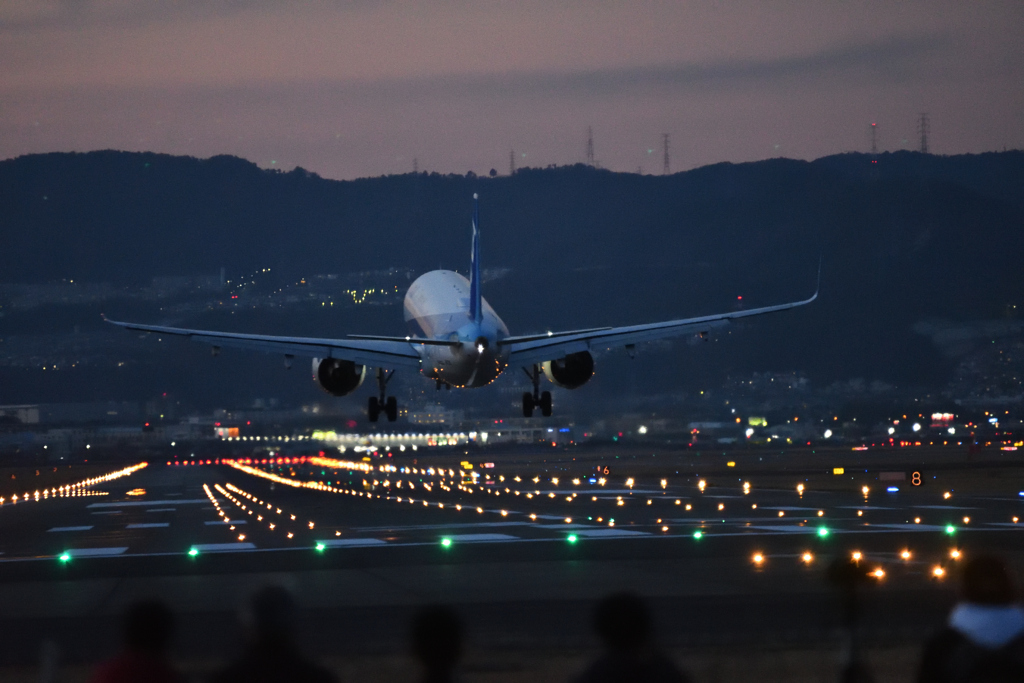  千里川河川敷 ANA B-737