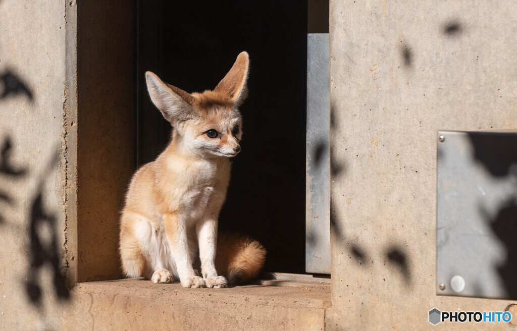 埼玉県こども動物自然公園