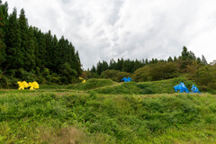 大地の芸術祭