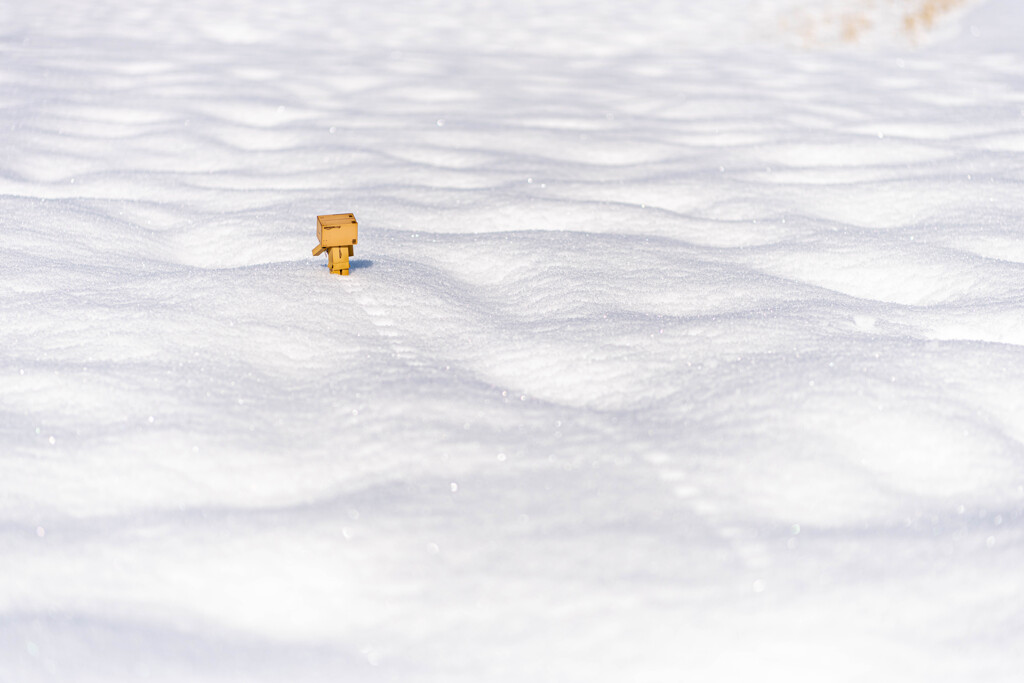 ダンボー君、雪だるまをつくるの3