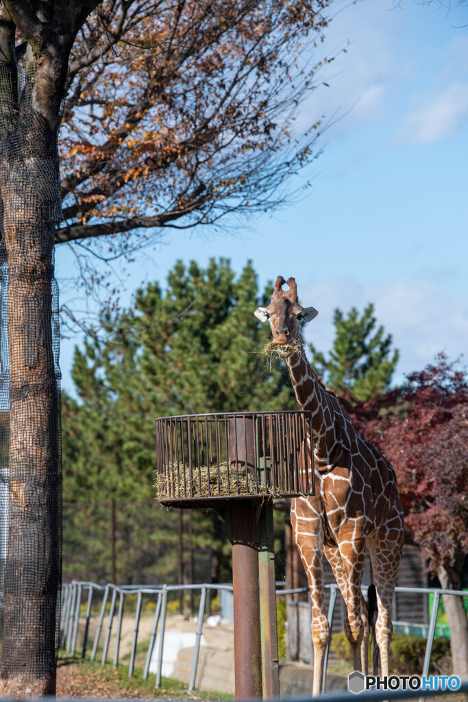 埼玉県こども動物自然公園