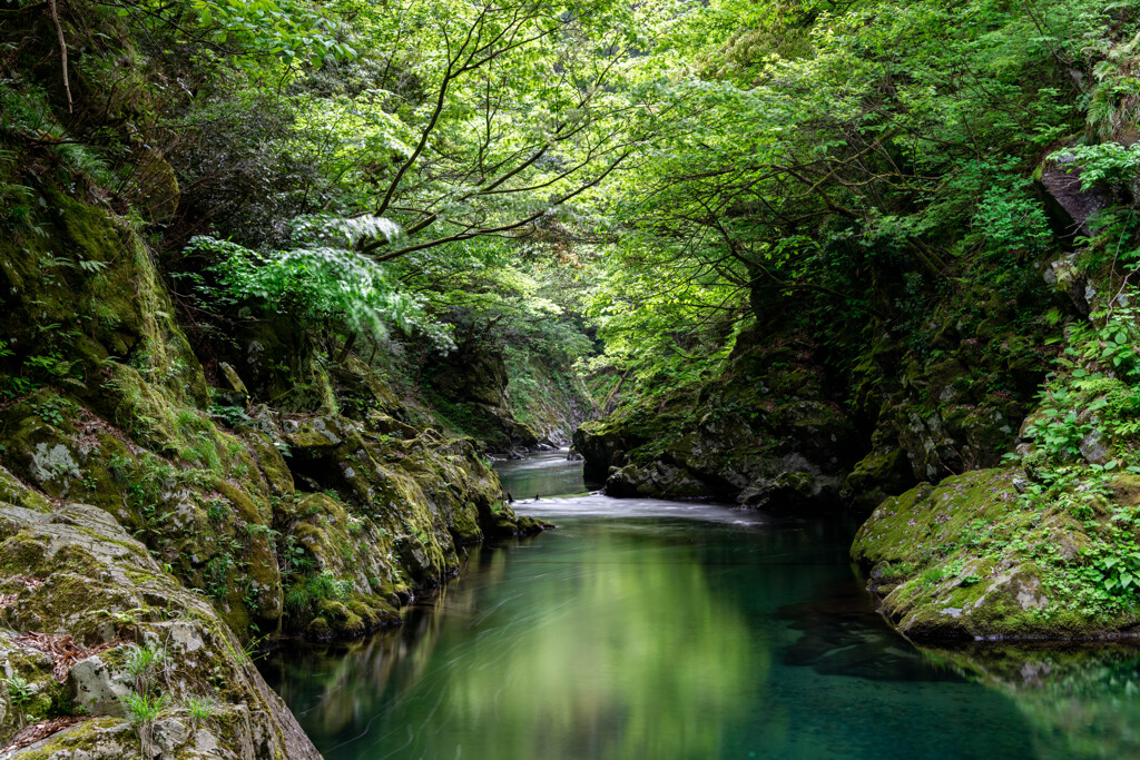 仙見川渓谷