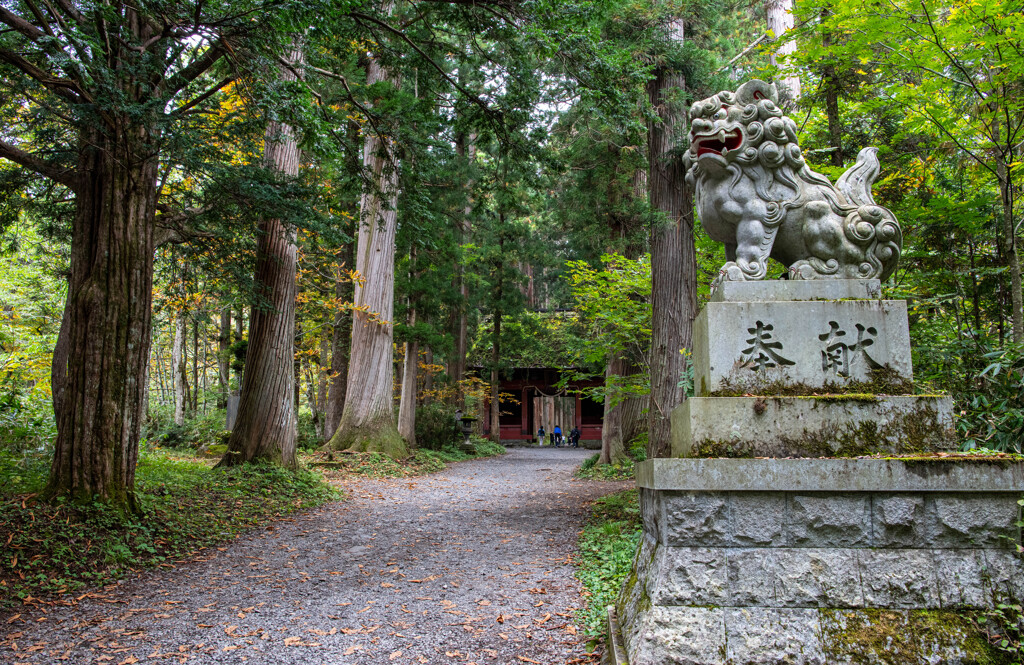 戸隠神社　随神門