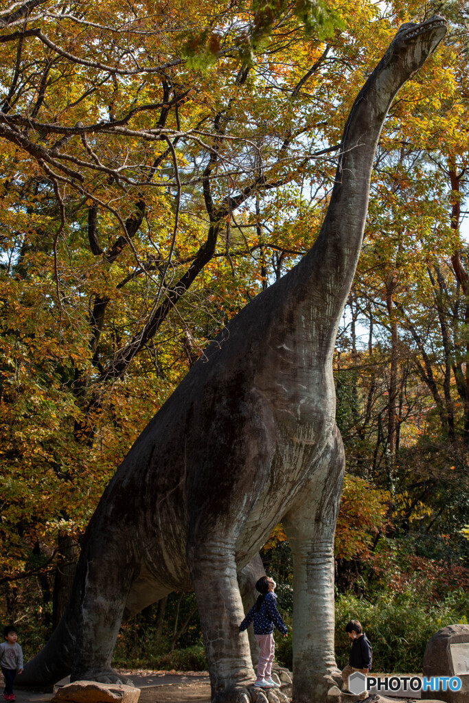 埼玉県こども動物自然公園