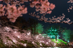 日本三大夜桜