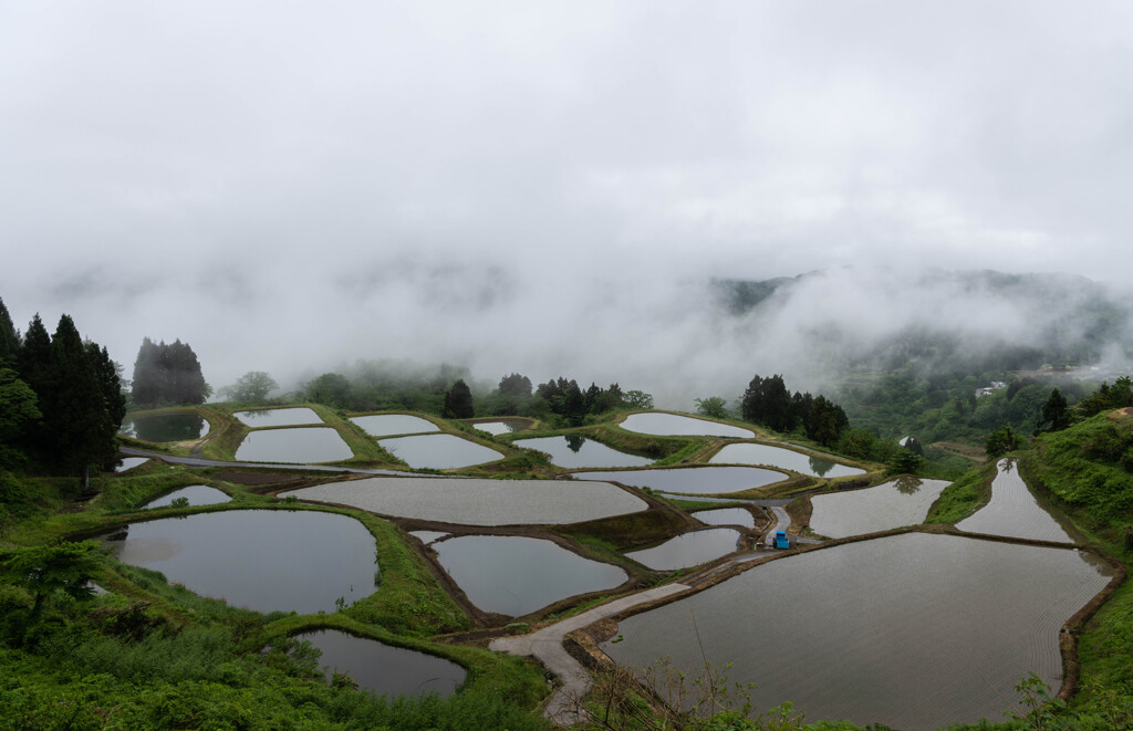 雨上がりの朝方