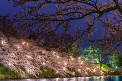 日本三大夜桜