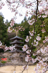 酒吞童子神社