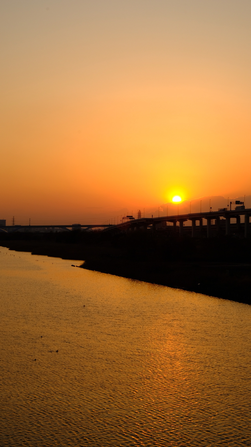 荒川河川敷