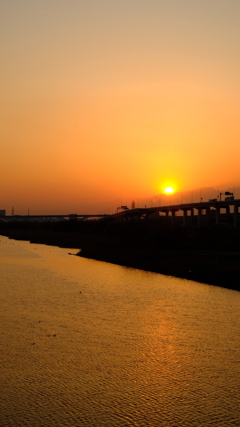 荒川河川敷