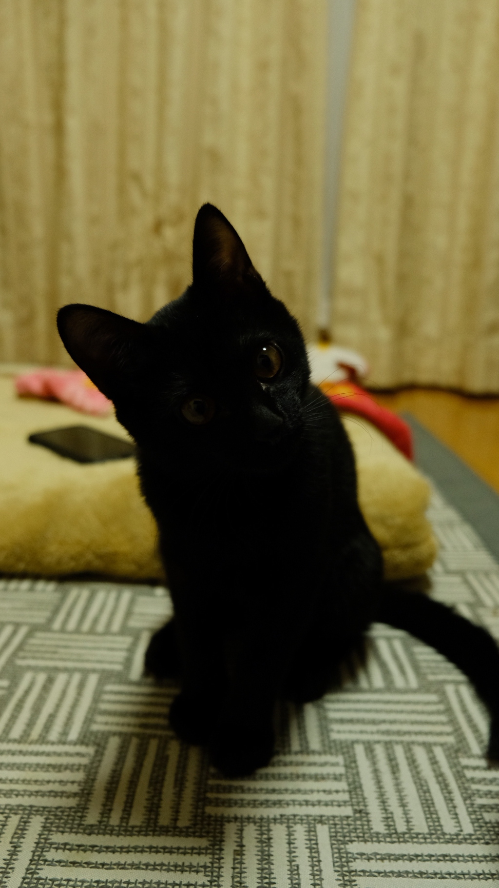 癒し