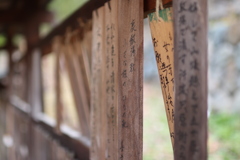 温泉街