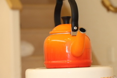 初一眼レフ記念