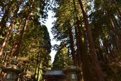 BE3DDA0C-8C90-43C1-B7F0-E36106284ADB