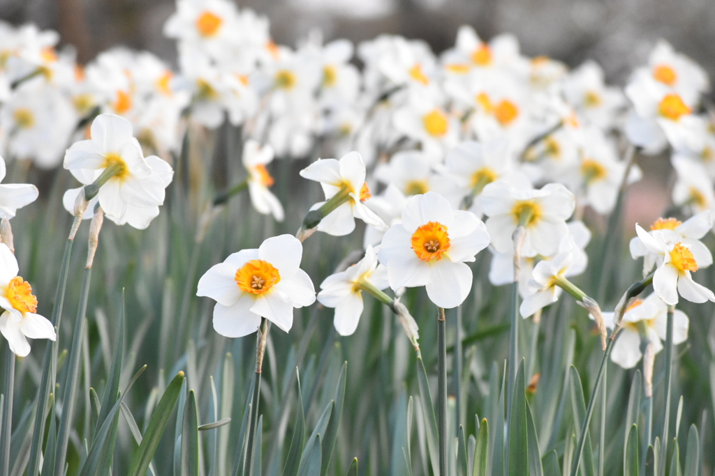 92EC37F4-B163-4C96-B7EE-AEBC9DD4F86E