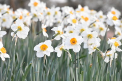 92EC37F4-B163-4C96-B7EE-AEBC9DD4F86E