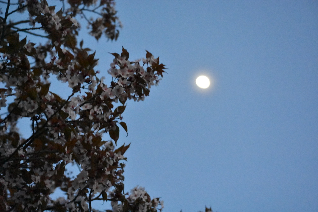 BE11868B-096D-4739-801B-CB8E70F400D0