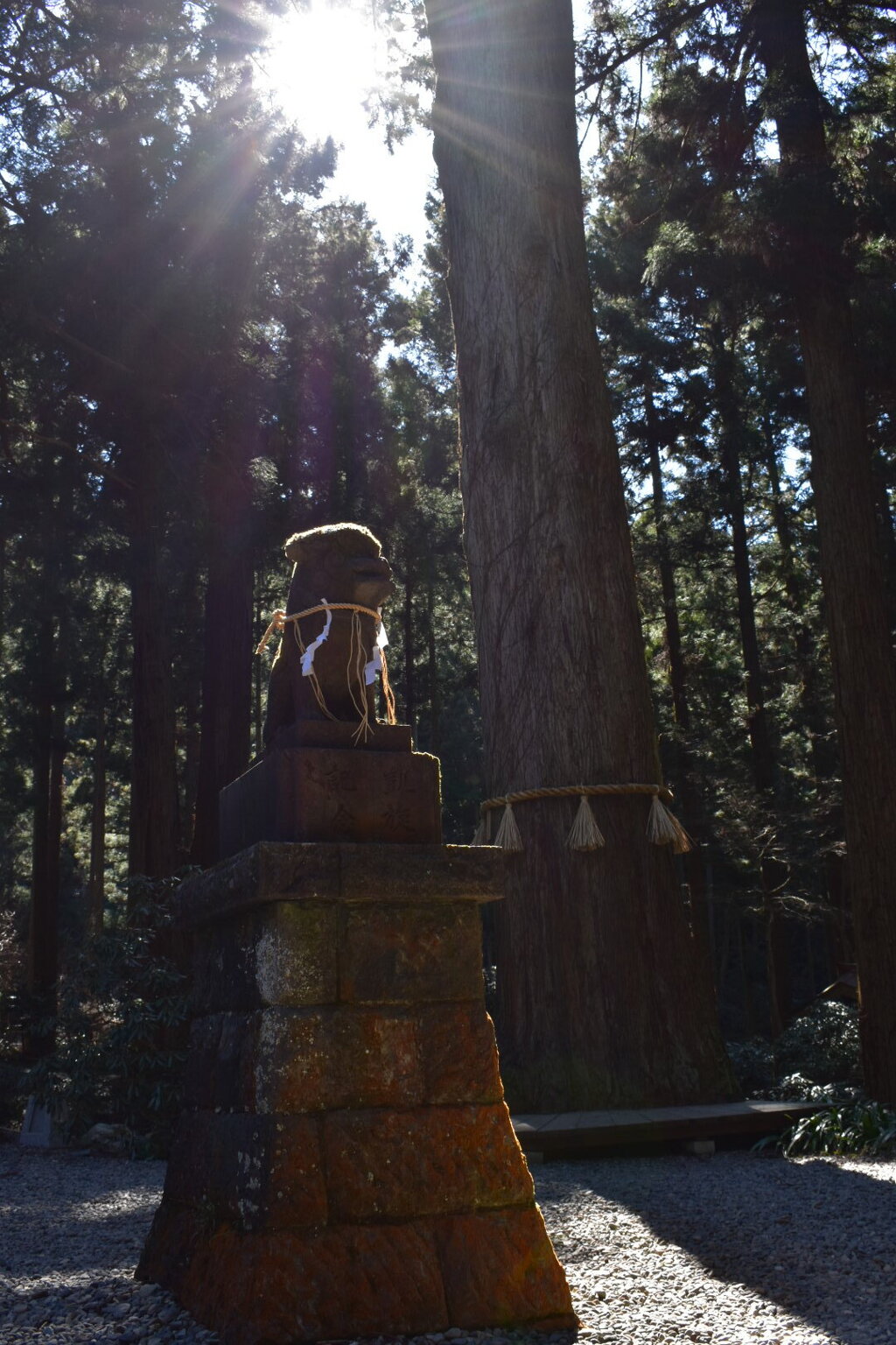 560A530D-ECF6-403D-9DB1-FA613C00B229