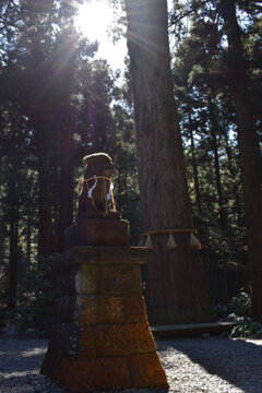 560A530D-ECF6-403D-9DB1-FA613C00B229