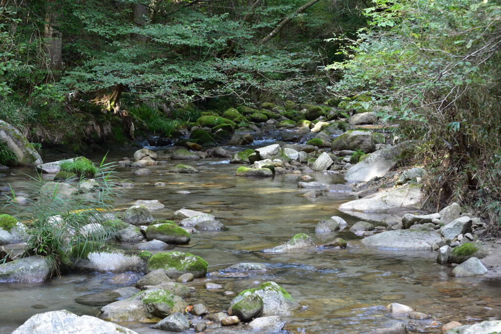 ヤックル欲しい