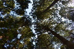 B263B33A-0A9E-4A80-9A7D-851BA14A7296