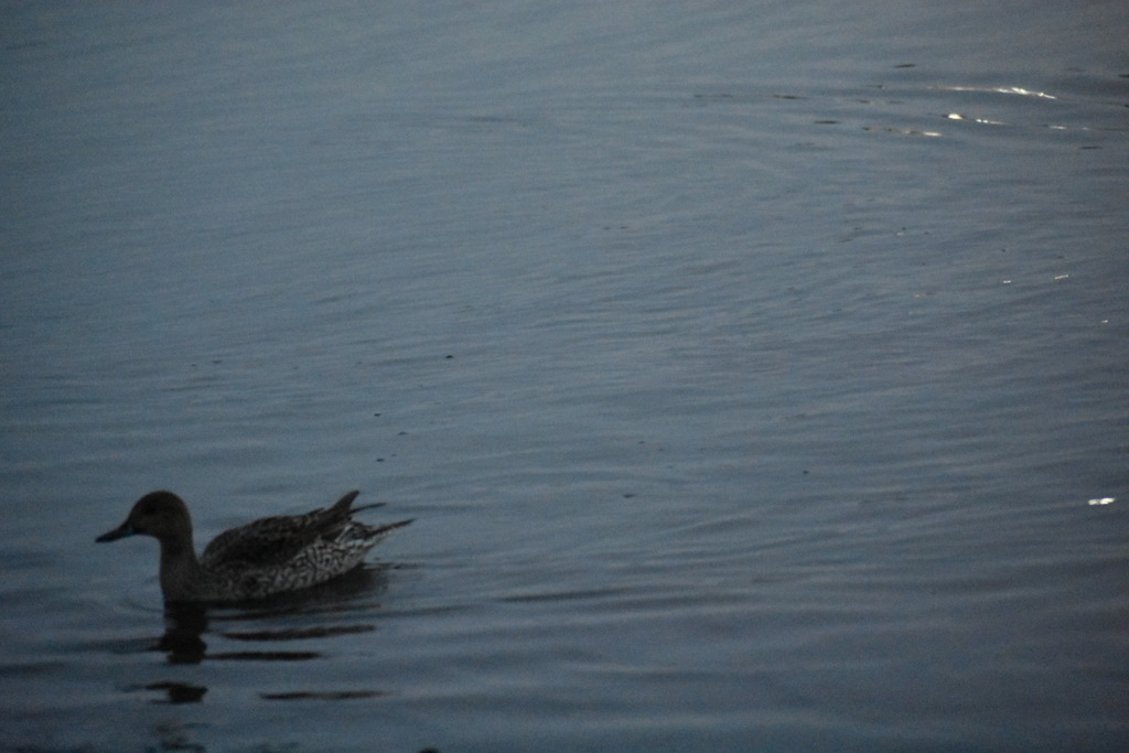 13D301B1-9537-4F2F-A9B0-EF29FE9EF851